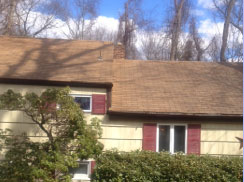Brothers House Washing Services